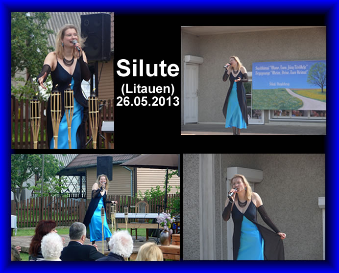 2013 Silute 1